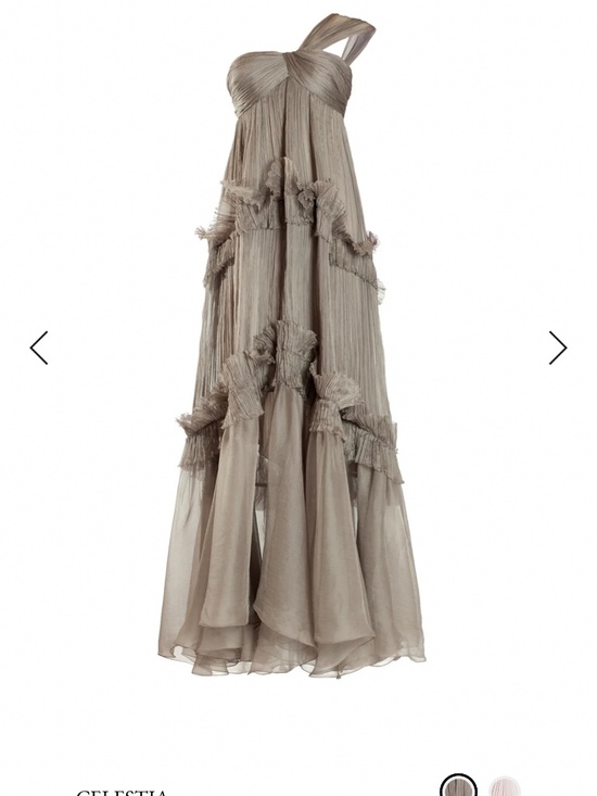 Maria Lucia Hohan Dresses & Skirts - Celestia maxi dress in taupe #maxidress #formal #eveningwear #marialuciahohan